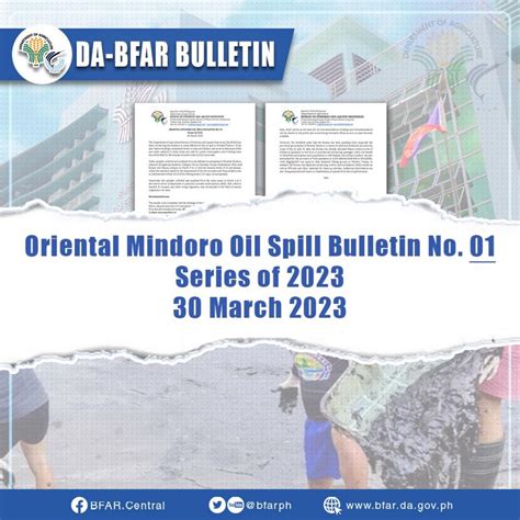 dfa calapan oriental mindoro|BFAR eyes insurance coverage to calamity.